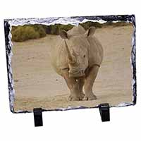 Rhinocerous Rhino, Stunning Photo Slate Printed Full Colour - Advanta Group®