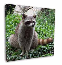 Racoon Lemur Square Canvas 12"x12" Wall Art Picture Print