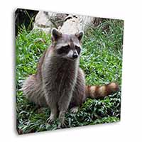 Racoon Lemur Square Canvas 12"x12" Wall Art Picture Print