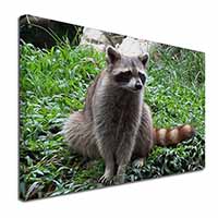 Racoon Lemur Canvas X-Large 30"x20" Wall Art Print