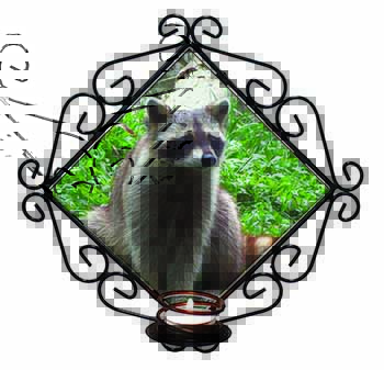 Racoon Lemur Wrought Iron Wall Art Candle Holder