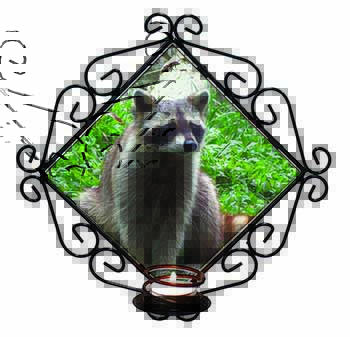 Racoon Lemur Wrought Iron Wall Art Candle Holder