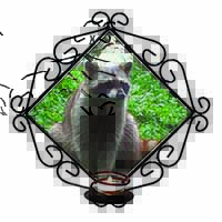 Racoon Lemur Wrought Iron Wall Art Candle Holder
