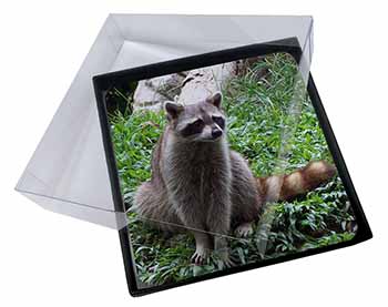 4x Racoon Lemur Picture Table Coasters Set in Gift Box