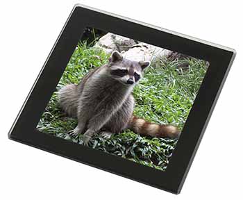 Racoon Lemur Black Rim High Quality Glass Coaster