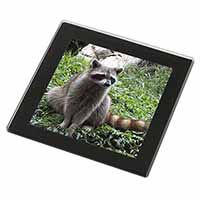 Racoon Lemur Black Rim High Quality Glass Coaster