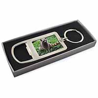 Racoon Lemur Chrome Metal Bottle Opener Keyring in Box