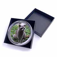 Racoon Lemur Glass Paperweight in Gift Box