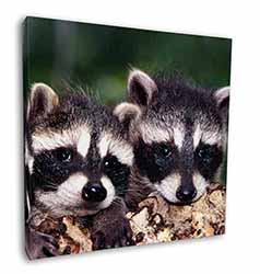 Cute Baby Racoons Square Canvas 12"x12" Wall Art Picture Print