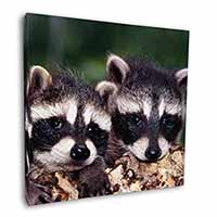 Cute Baby Racoons Square Canvas 12"x12" Wall Art Picture Print