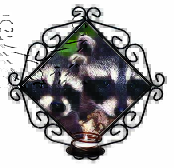 Cute Baby Racoons Wrought Iron Wall Art Candle Holder