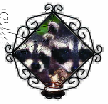 Cute Baby Racoons Wrought Iron Wall Art Candle Holder
