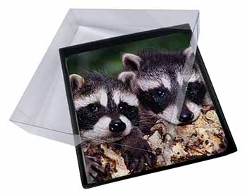 4x Cute Baby Racoons Picture Table Coasters Set in Gift Box