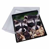 4x Cute Baby Racoons Picture Table Coasters Set in Gift Box