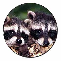 Cute Baby Racoons Fridge Magnet Printed Full Colour