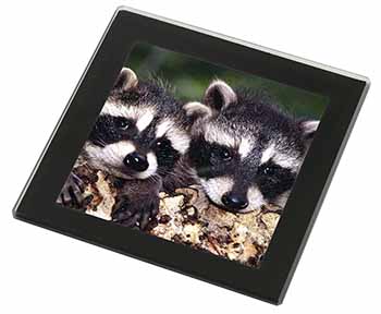 Cute Baby Racoons Black Rim High Quality Glass Coaster