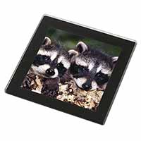 Cute Baby Racoons Black Rim High Quality Glass Coaster