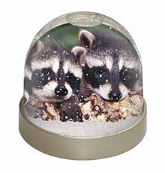 Cute Baby Racoons Snow Globe Photo Waterball