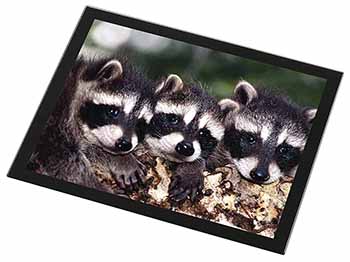 Cute Baby Racoons Black Rim High Quality Glass Placemat