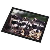 Cute Baby Racoons Black Rim High Quality Glass Placemat