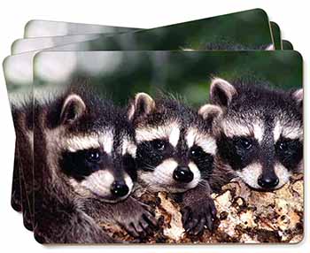 Cute Baby Racoons Picture Placemats in Gift Box