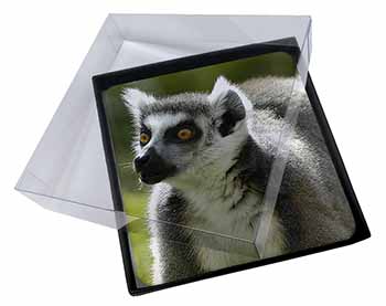 4x Ringtail Lemur Picture Table Coasters Set in Gift Box