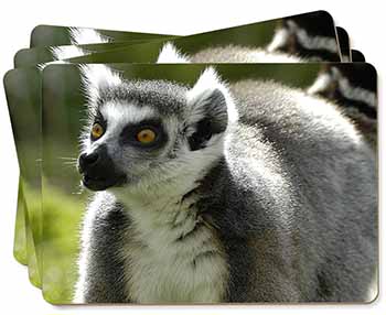 Ringtail Lemur Picture Placemats in Gift Box