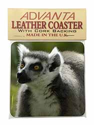Ringtail Lemur Single Leather Photo Coaster