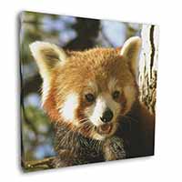 Red Panda Bear Square Canvas 12"x12" Wall Art Picture Print