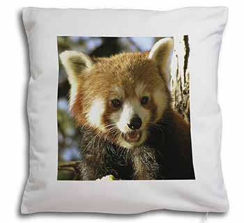 Red Panda Bear Soft White Velvet Feel Scatter Cushion