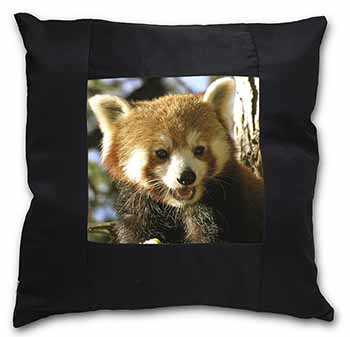 Red Panda Bear Black Satin Feel Scatter Cushion