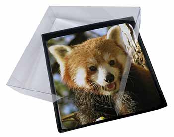 4x Red Panda Bear Picture Table Coasters Set in Gift Box