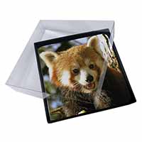 4x Red Panda Bear Picture Table Coasters Set in Gift Box