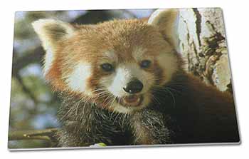 Large Glass Cutting Chopping Board Red Panda Bear
