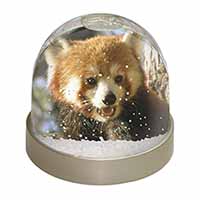 Red Panda Bear Snow Globe Photo Waterball