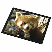 Red Panda Bear Black Rim High Quality Glass Placemat