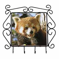 Red Panda Bear Wrought Iron Key Holder Hooks