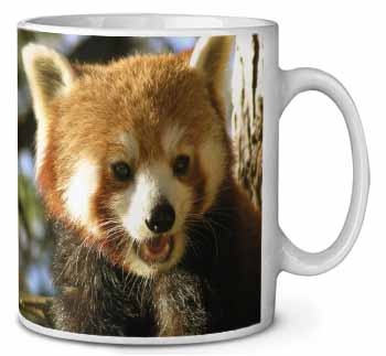 Red Panda Bear Ceramic 10oz Coffee Mug/Tea Cup