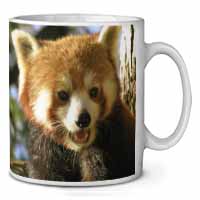 Red Panda Bear Ceramic 10oz Coffee Mug/Tea Cup