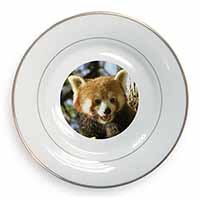 Red Panda Bear Gold Rim Plate Printed Full Colour in Gift Box