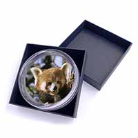Red Panda Bear Glass Paperweight in Gift Box