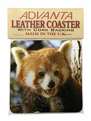 Red Panda Bear Single Leather Photo Coaster
