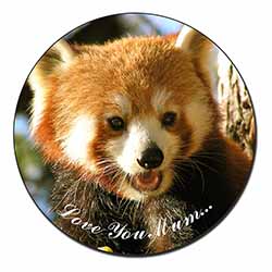 Red Panda Bear 