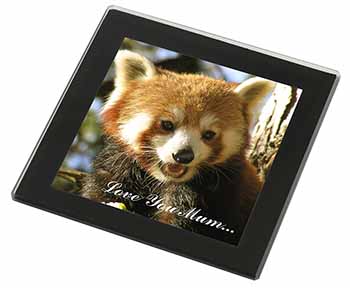 Red Panda Bear 