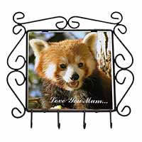 Red Panda Bear 