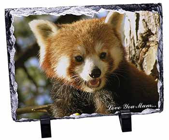 Red Panda Bear 