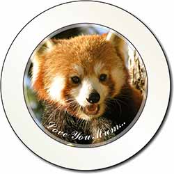 Red Panda Bear 