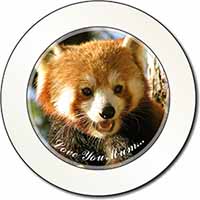 Red Panda Bear 