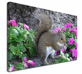 Squirrel by Flowers Canvas X-Large 30"x20" Wall Art Print