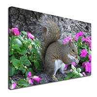 Squirrel by Flowers X-Large 30"x20" Canvas Wall Art Print